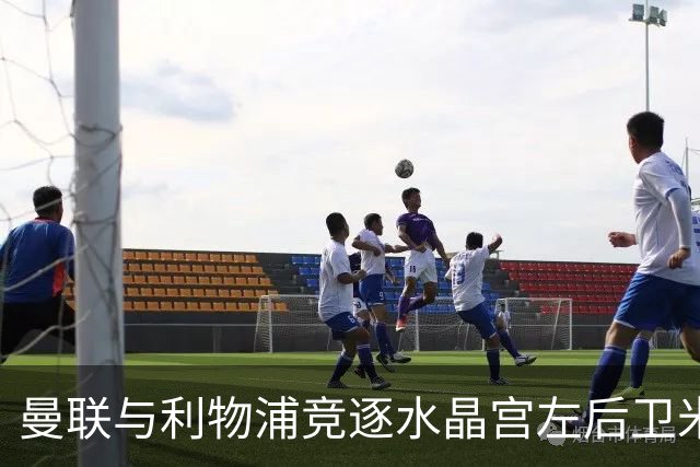 曼联与利物浦竞逐水晶宫左后卫米切尔，拜仁加入争夺战